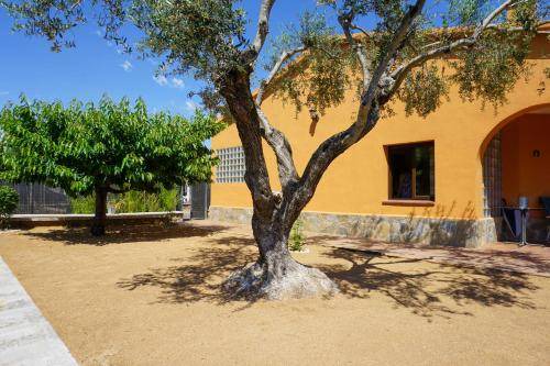 Photo of Others in Sant Antoni de Vilamajor