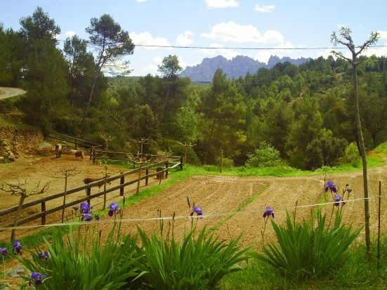 Photo of Outdoor in Sant Salvador de Guardiola