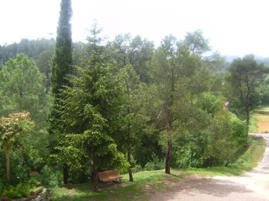 Photo of Outdoor in Sant Salvador de Guardiola