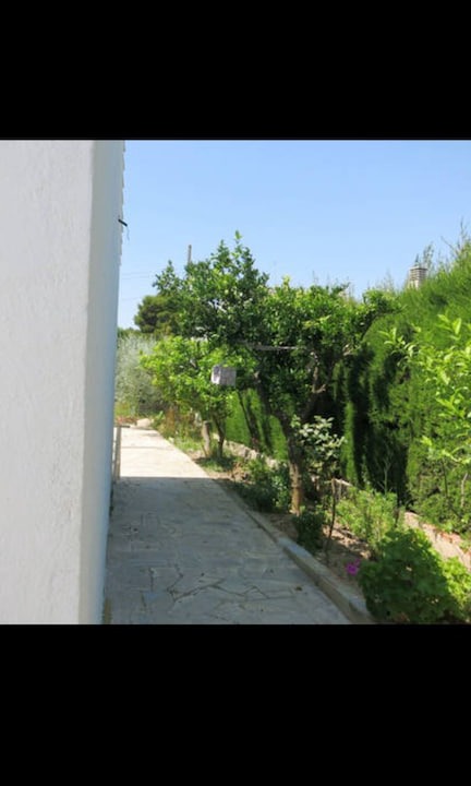 Photo of Others in L Almadrava