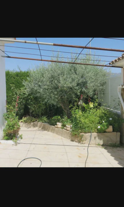 Photo of Others in L Almadrava