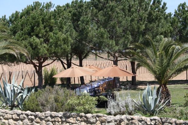 Photo of Buildings in San Sadurni