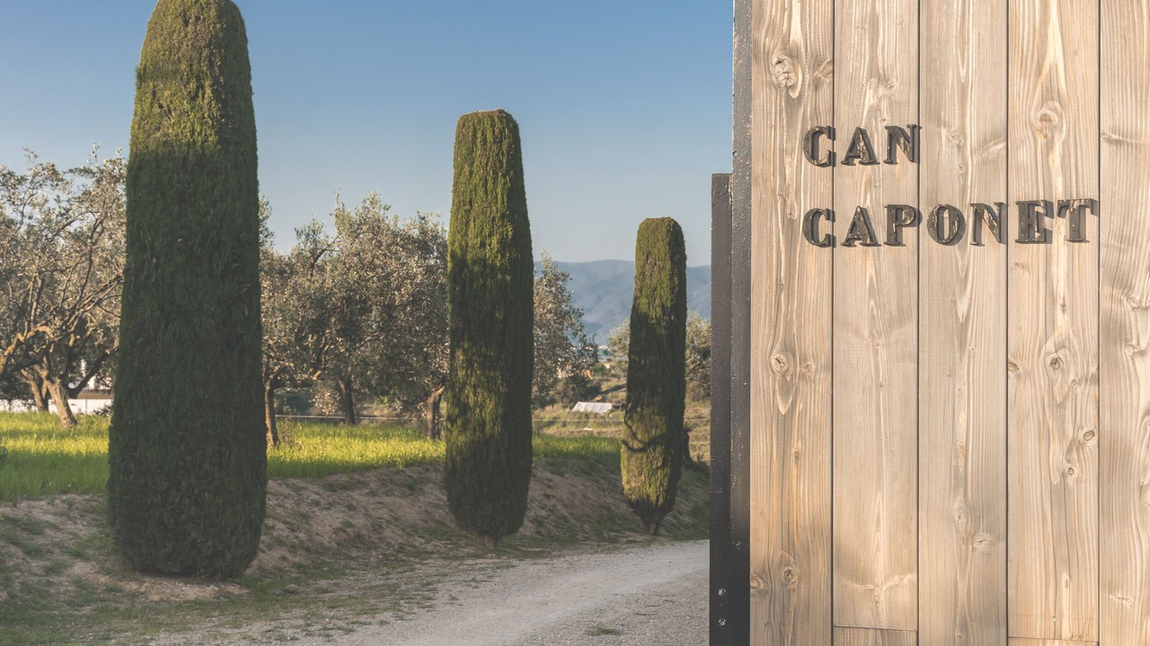 Photo of Outdoor in Llica d'Amunt