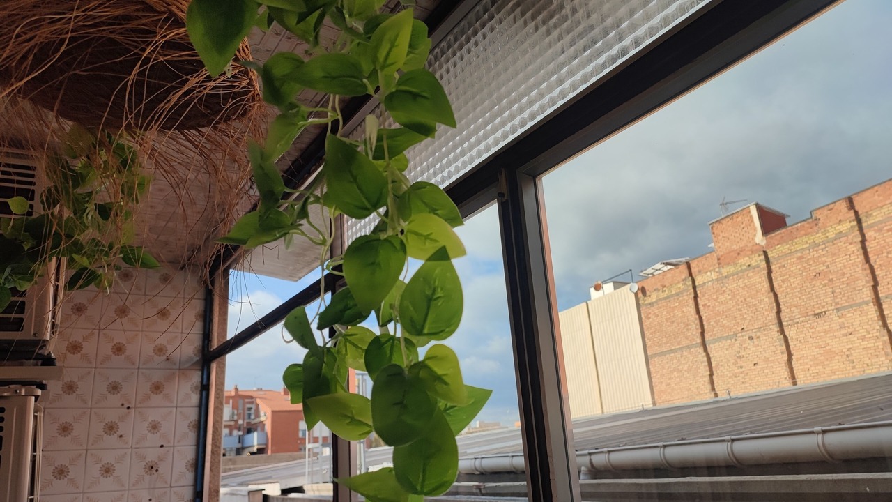 Photo of Outdoor in Cornella de Llobregat