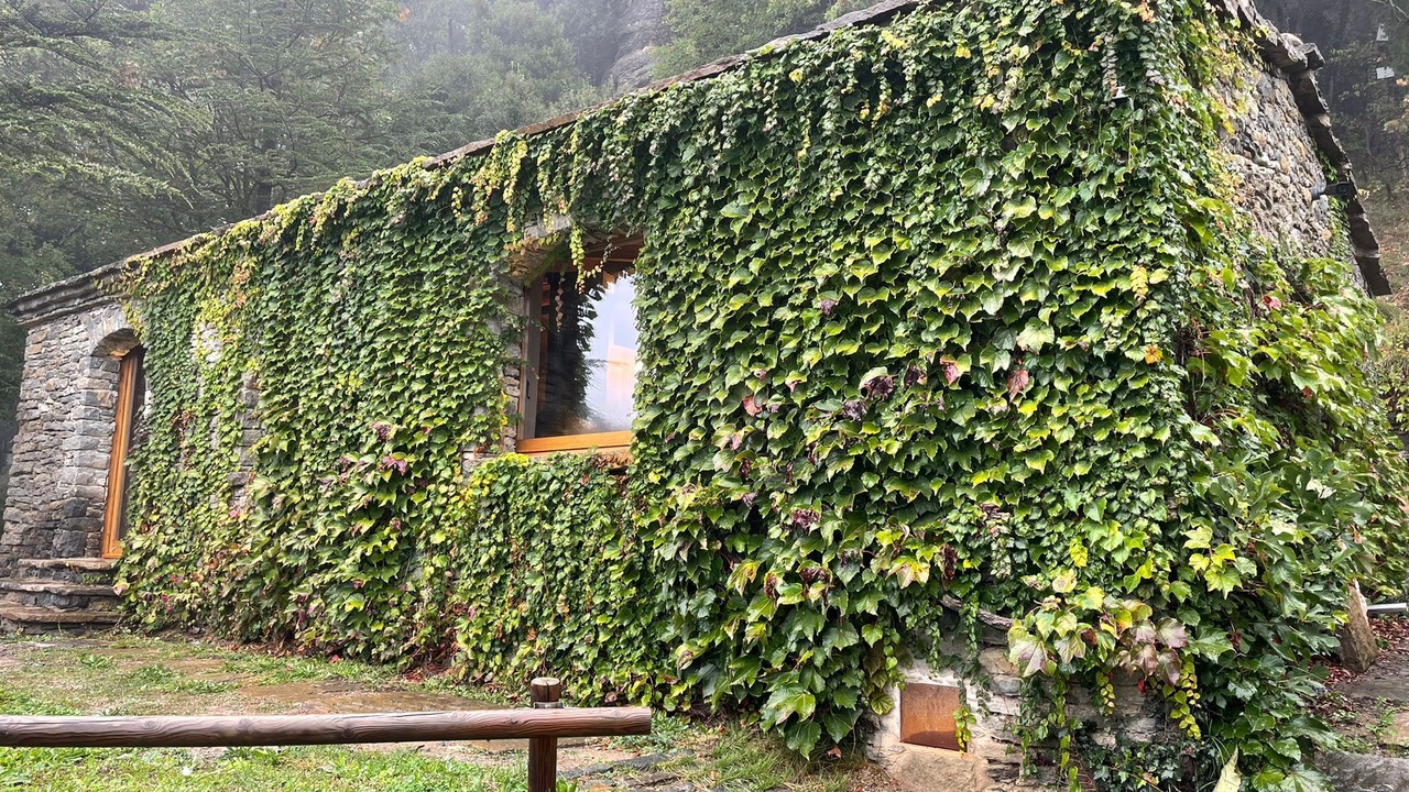 Photo of Outdoor in Rupit I Pruit