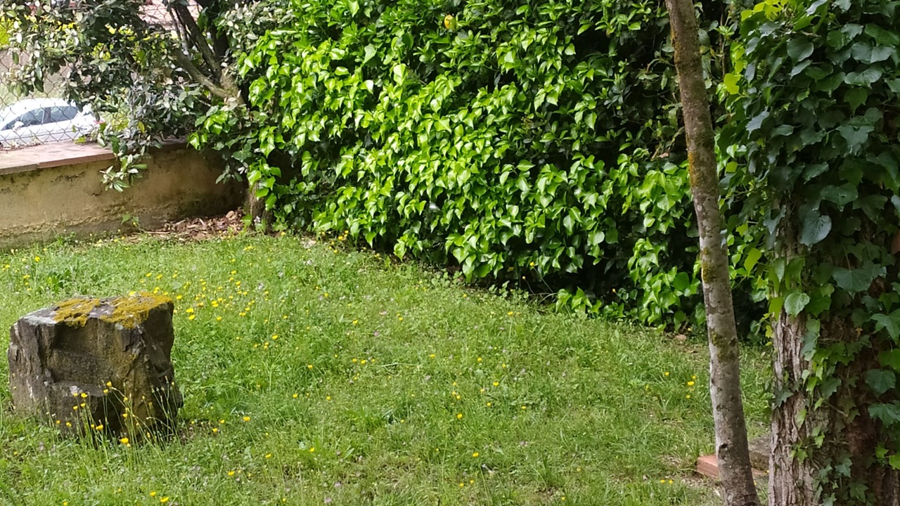 Photo of Outdoor in Vallgorguina