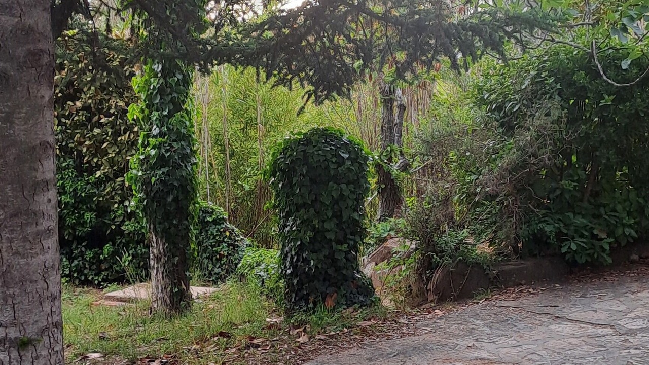 Photo of Outdoor in Vallgorguina