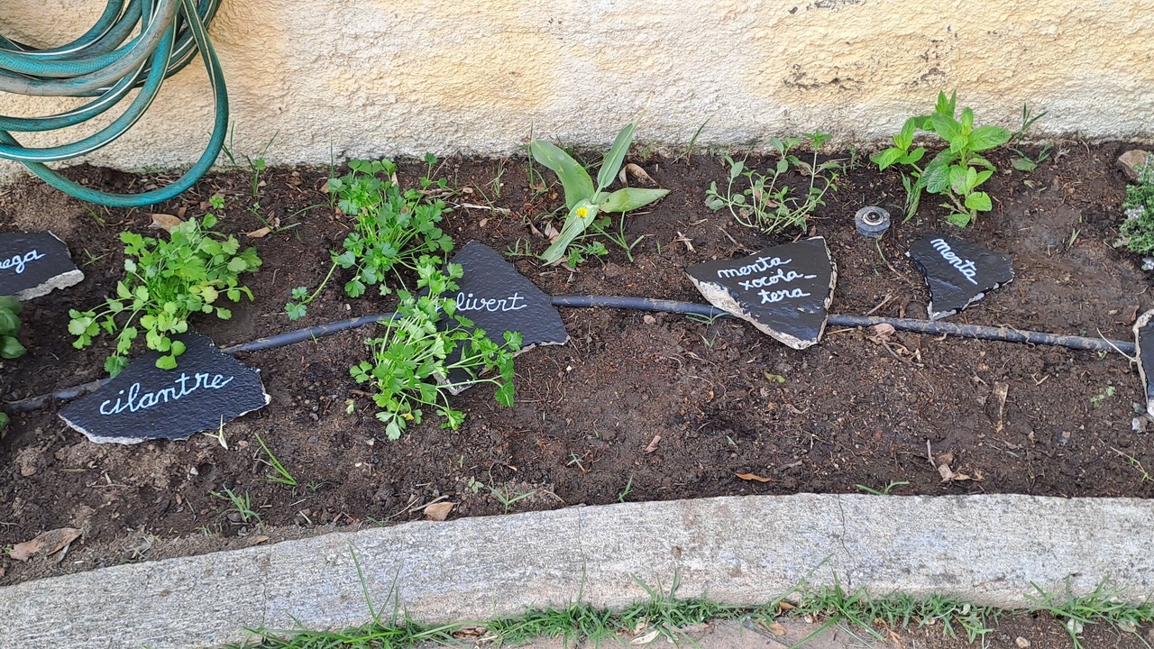 Photo of Outdoor in Vallgorguina