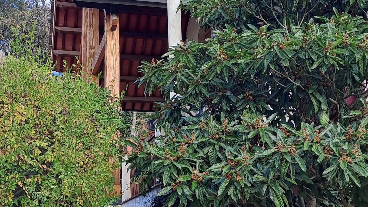 Photo of Outdoor in Vallgorguina