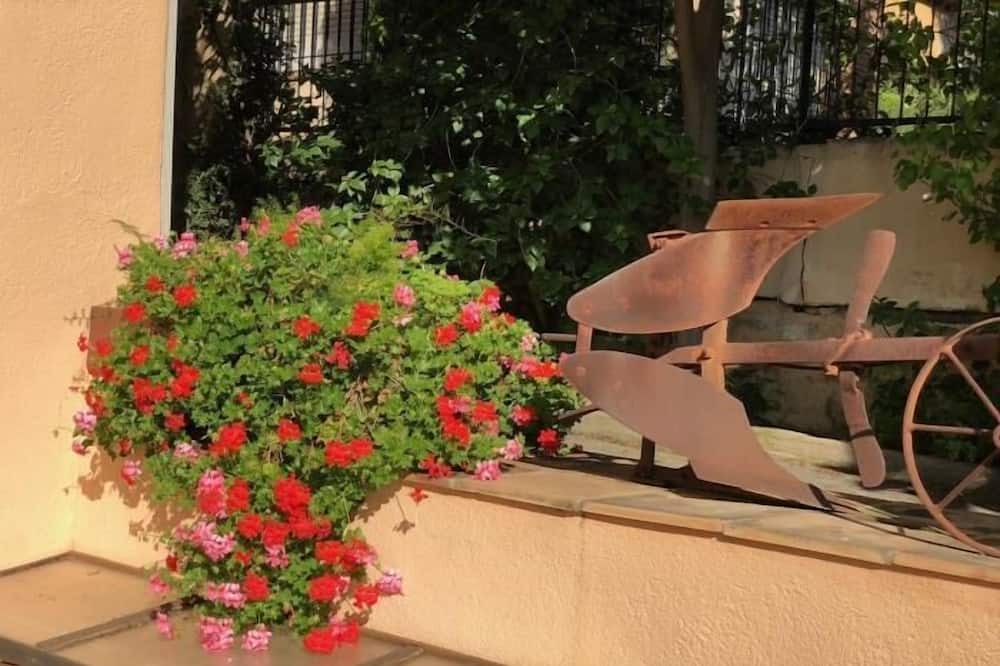 Photo of Outdoor in Masnou