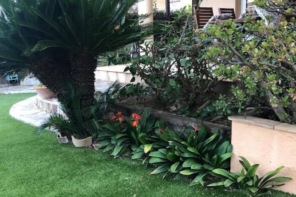 Photo of Outdoor in Masnou
