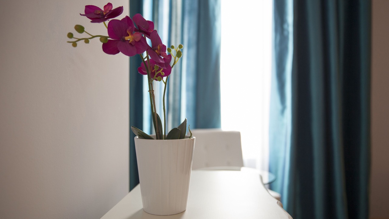 Photo of Bedroom in L'Antiga Esquerra de l'Eixample