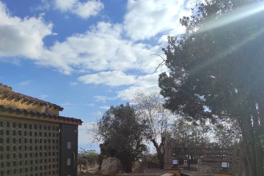 Photo of Others in Dosrius