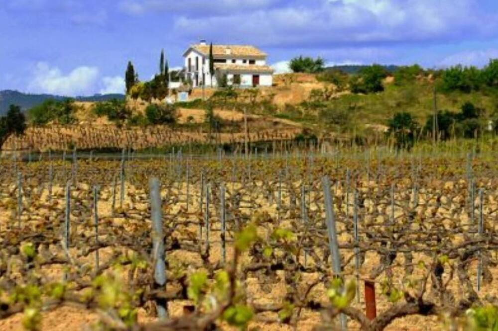 Photo of Others in L'Avella