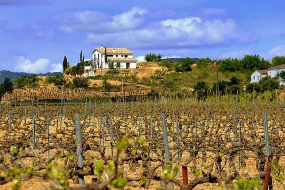 Photo of Outdoor in L'Avella