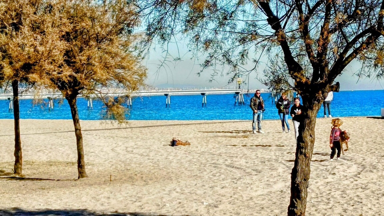 Photo of Others in Badalona