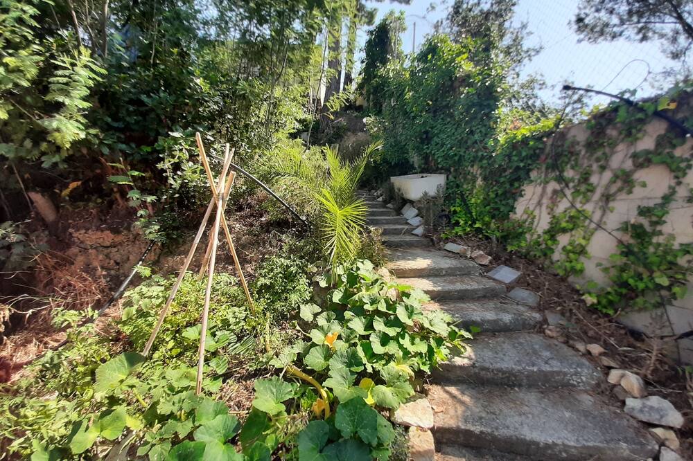 Photo of Outdoor in Can Palau