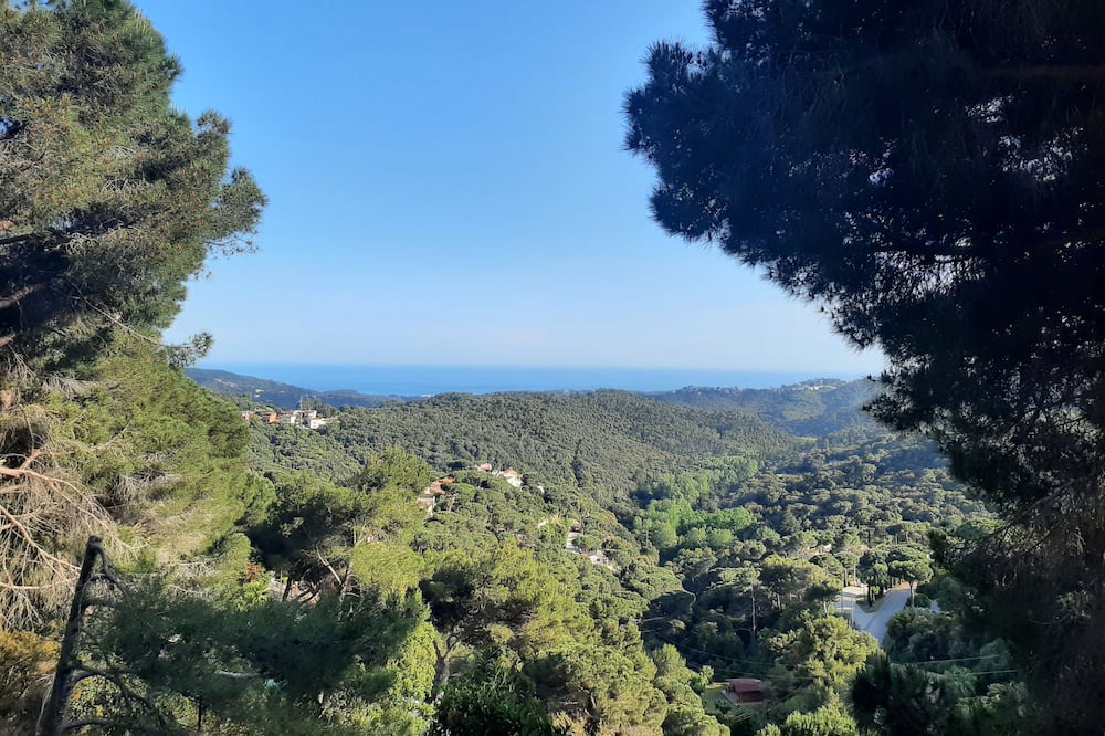 Photo of Outdoor in Can Palau
