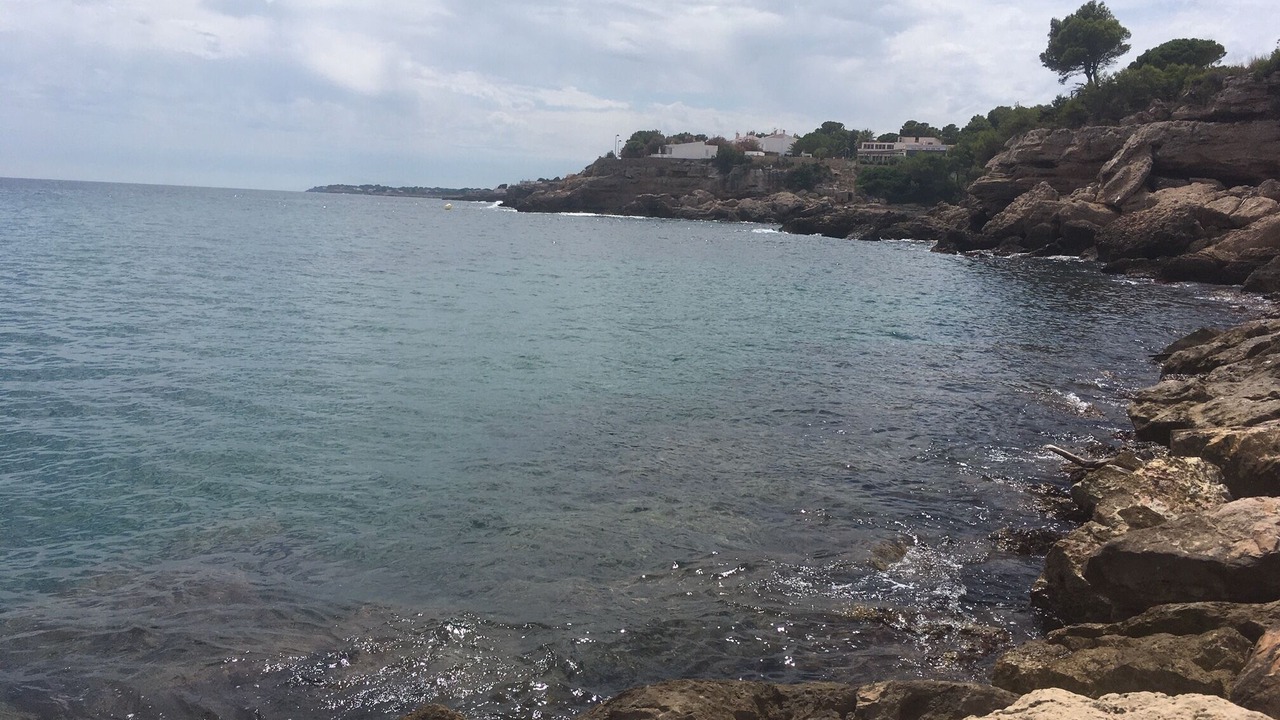 Photo of Others in L Almadrava
