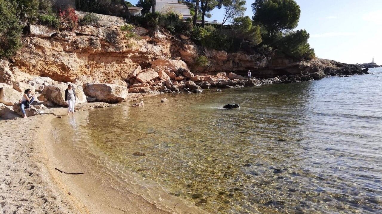 Photo of Others in L Almadrava