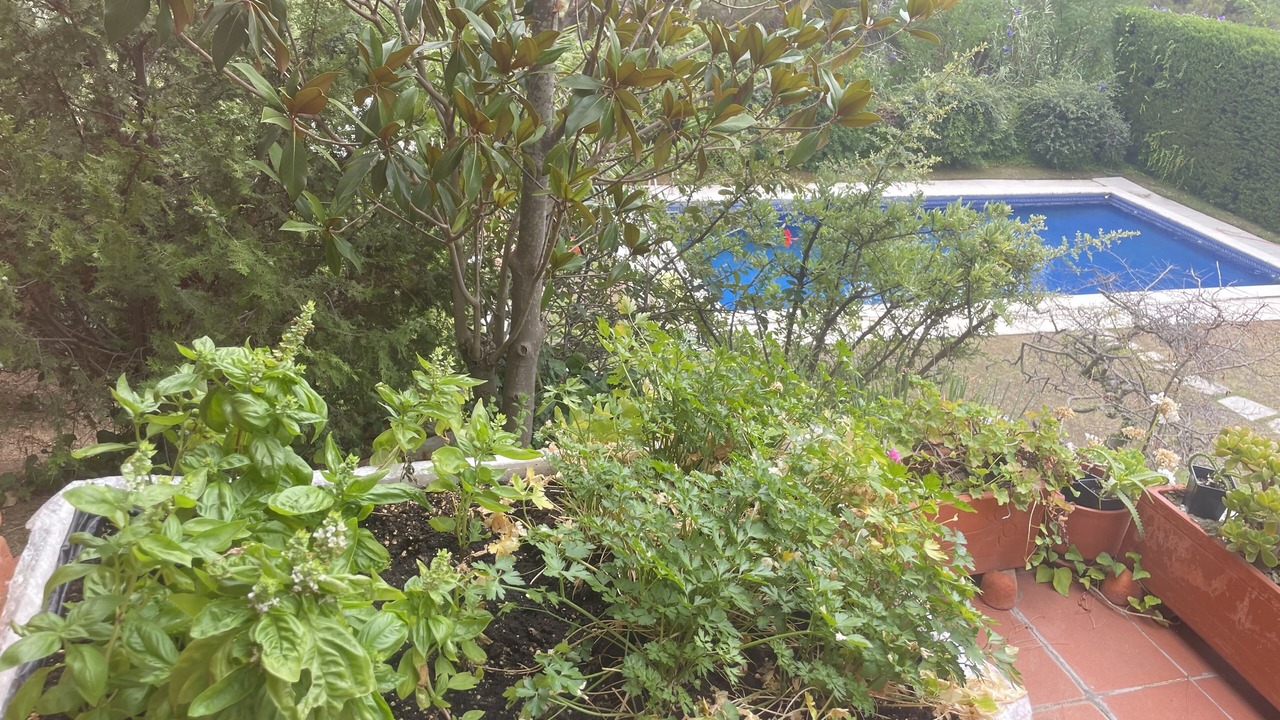 Photo of Outdoor in Sant Vicenc de Montalt