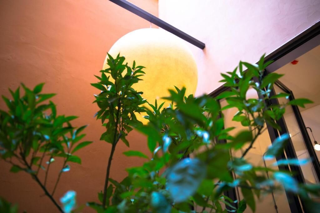 Photo of Patio Balcony in Collblanc y La Torrassa