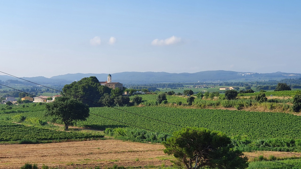 Photo of Outdoor in Sant Marcal