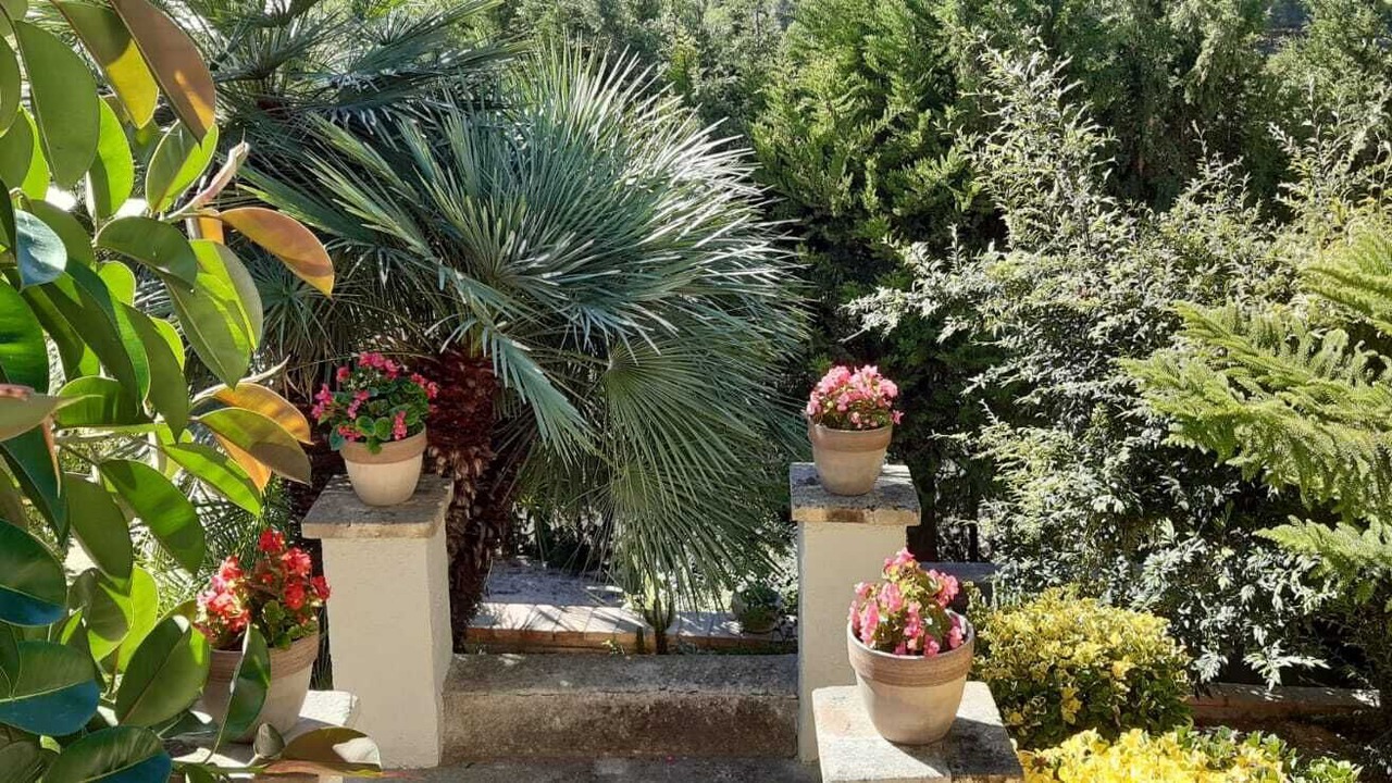 Photo of Outdoor in Sant Marcal