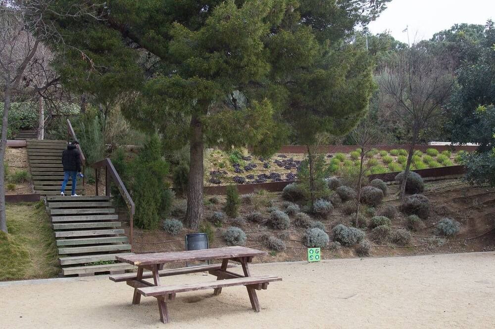 Photo of Outdoor in Les Roquetes