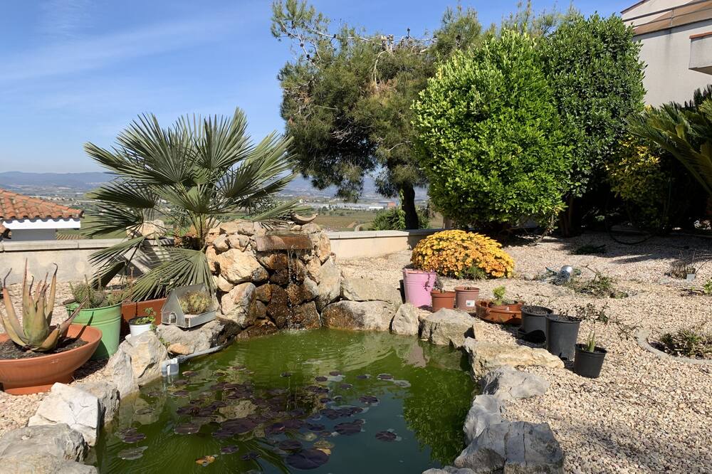 Photo of Outdoor in Avinyonet del Penedes