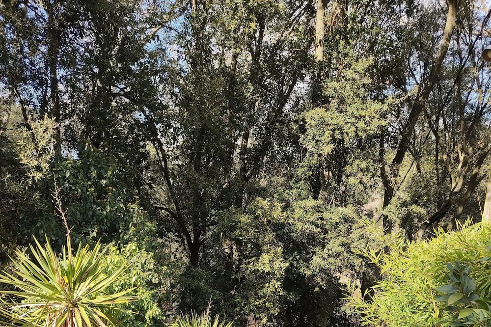 Photo of Outdoor in Sant Llorenc Savall