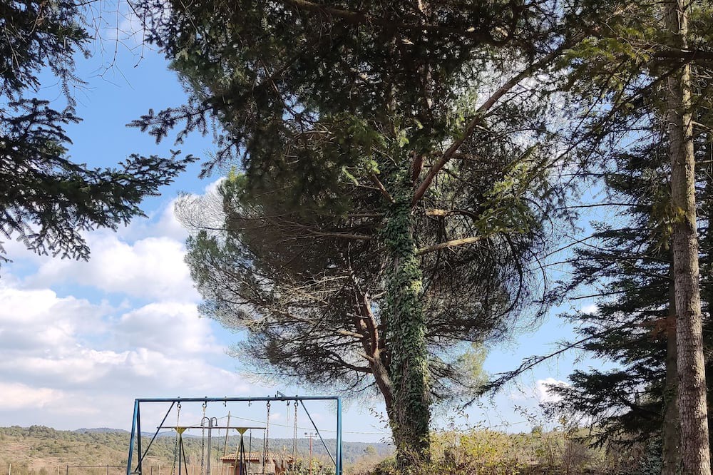 Photo of Outdoor in Sant Llorenc Savall