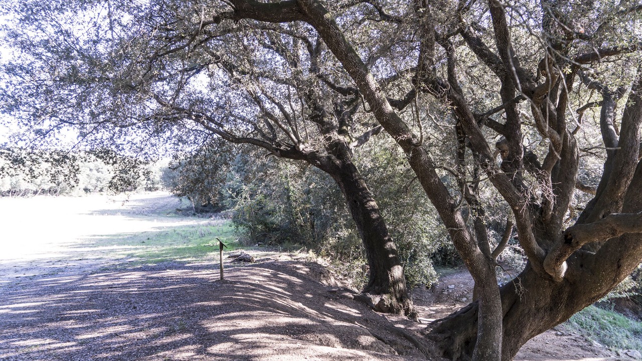 Photo of Outdoor in Dosrius