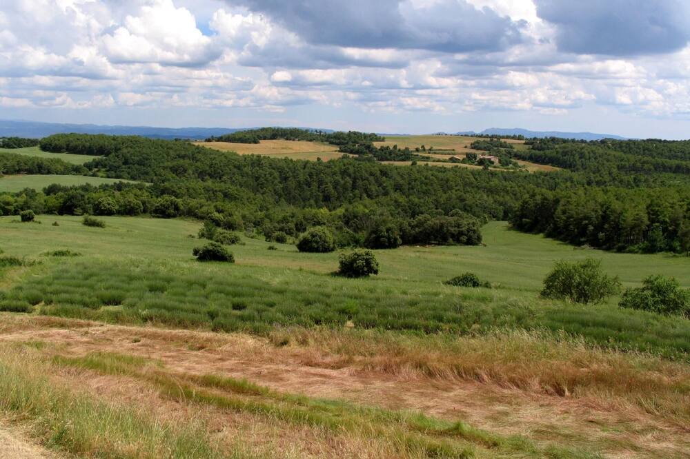 Photo of Outdoor in Viver i Serrateix