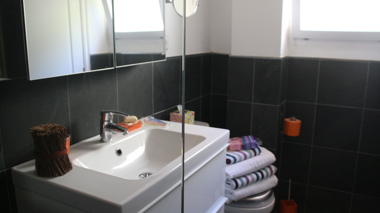 Photo of Bathroom in Sallent