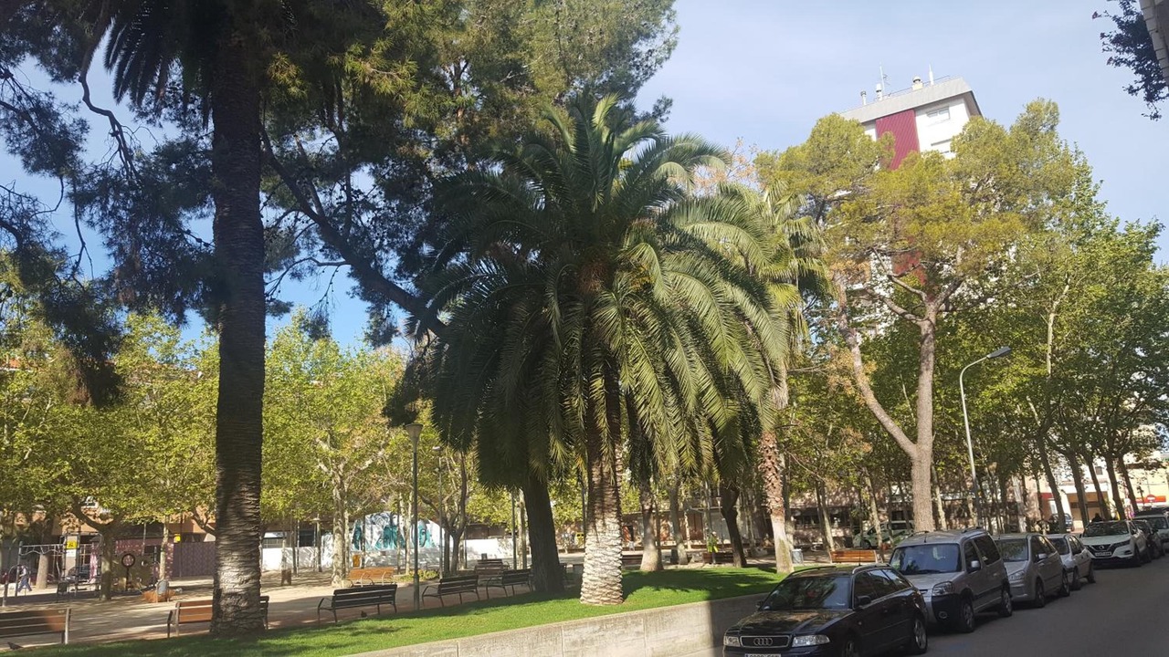 Photo of Outdoor in Vilafranca del Penedes