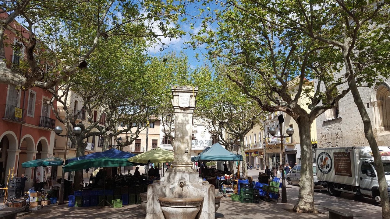 Photo of Outdoor in Vilafranca del Penedes