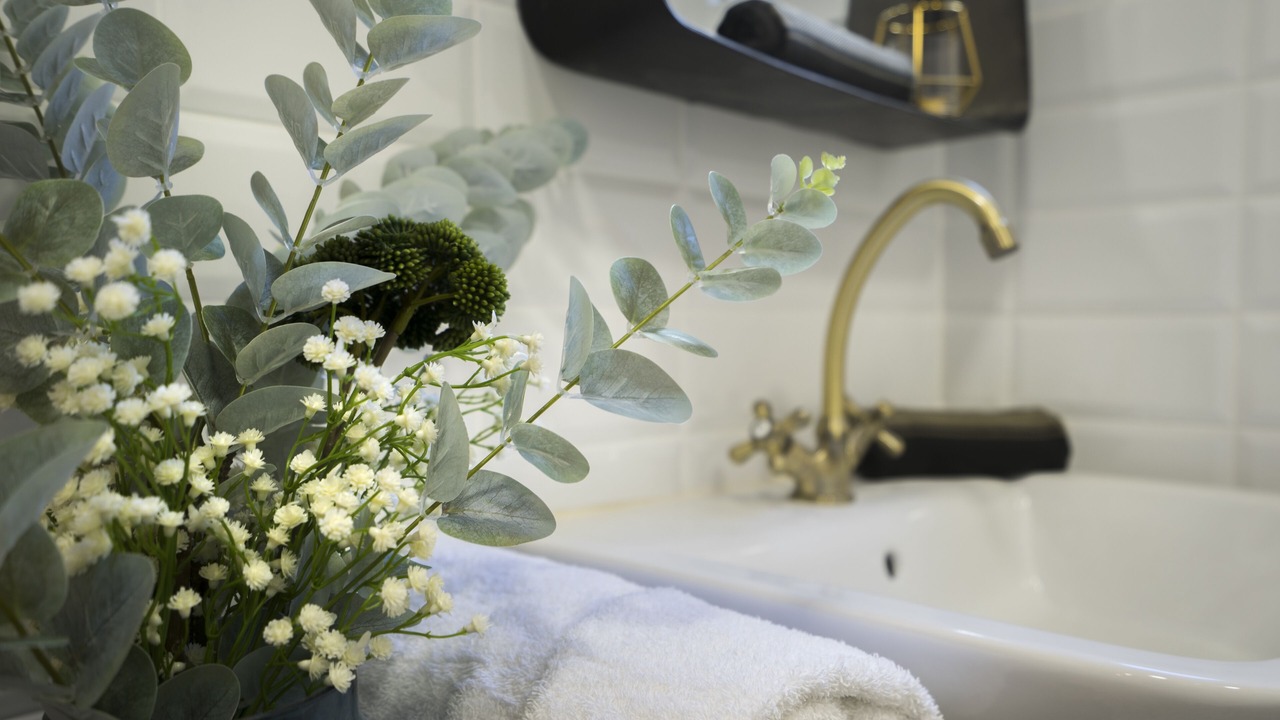 Photo of Bathroom in Badalona