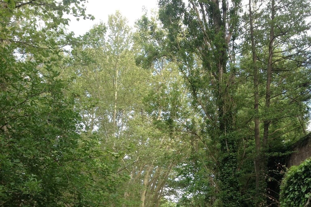 Photo of Outdoor in Navas