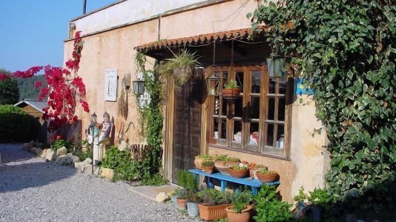 Photo of Outdoor in Sant Pere de Ribes