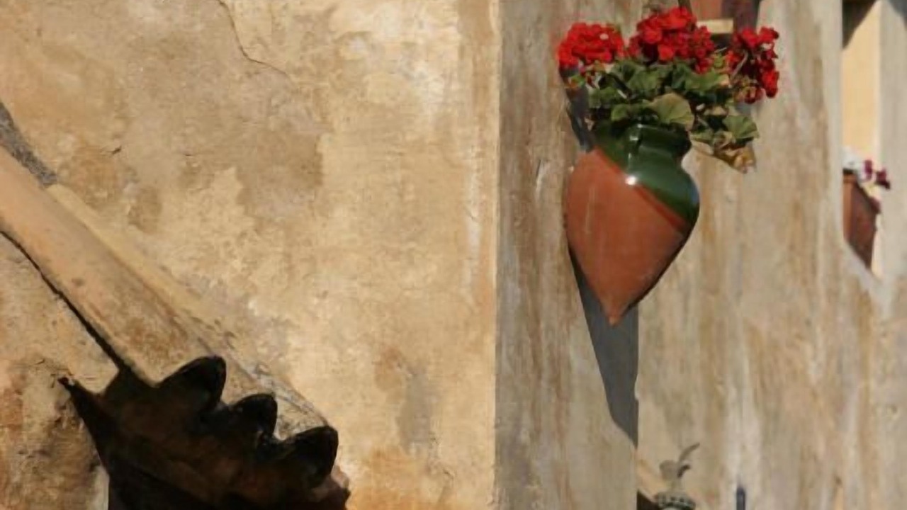 Photo of Others in Sant Pere de Ribes