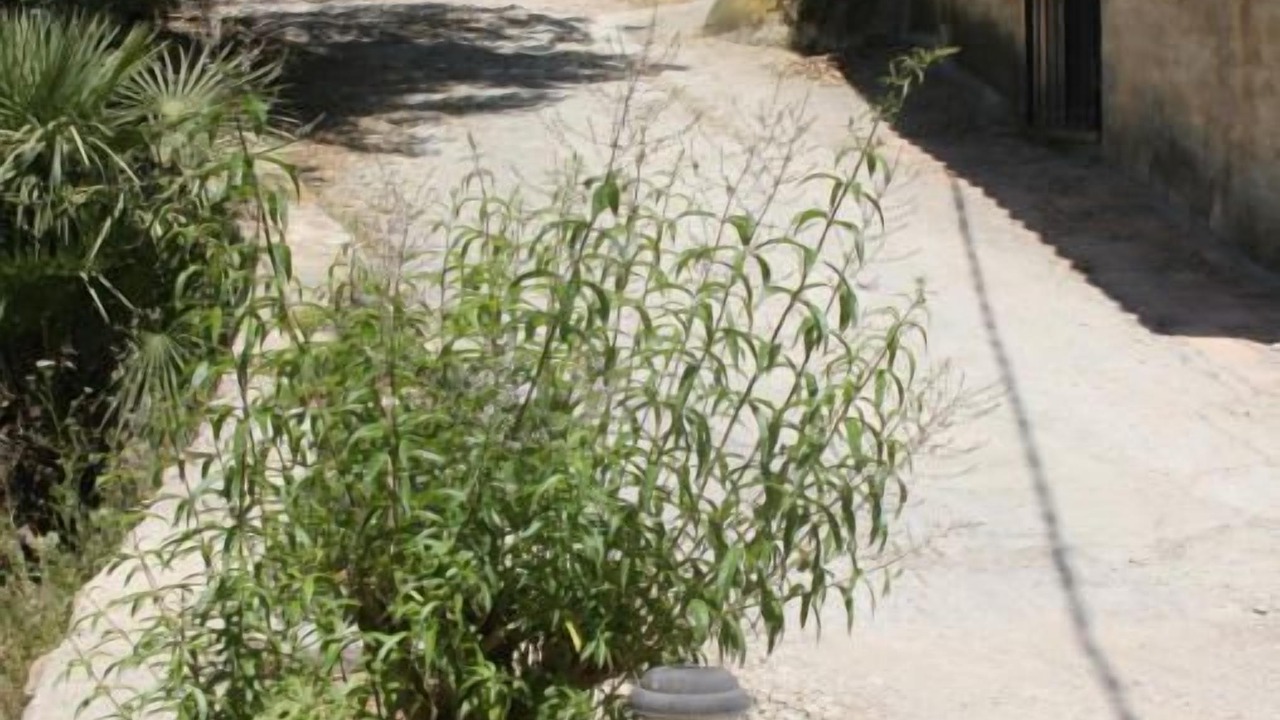Photo of Outdoor in Sant Pere de Ribes