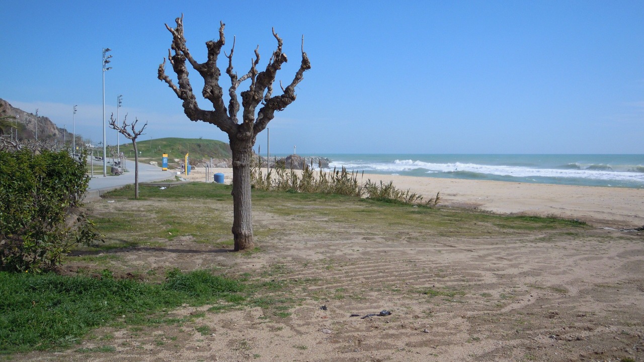 Photo of Others in Montgat