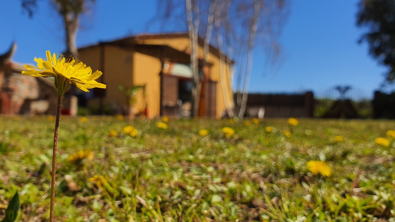 Photo of Outdoor in Sant Pere de Vilamajor