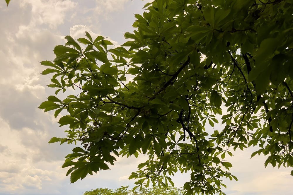 Photo of Outdoor in Perafita