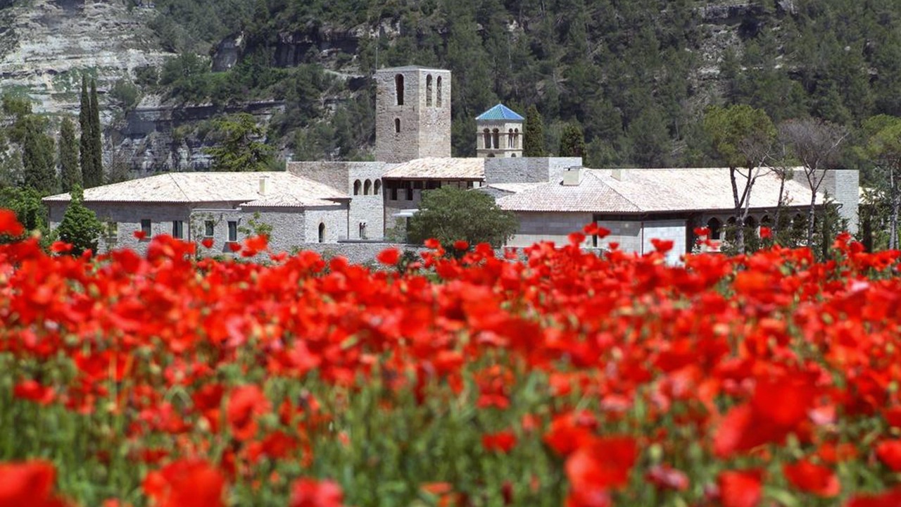 Photo of Outdoor in Sant Fruitos de Bages