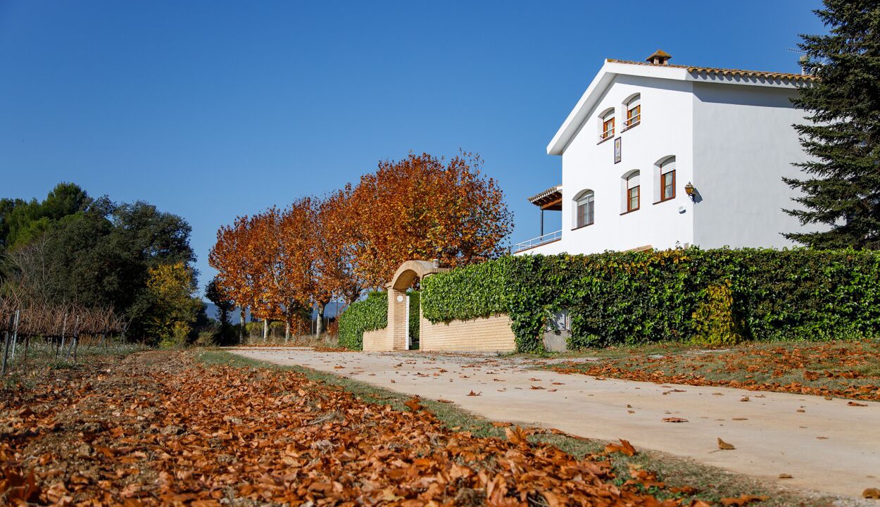 Photo of Outdoor in El Pla del Penedes