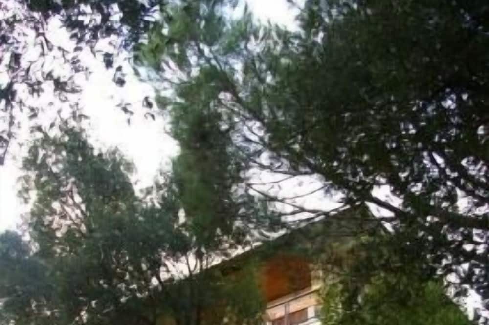 Photo of Outdoor in Sant Pere de Vilamajor