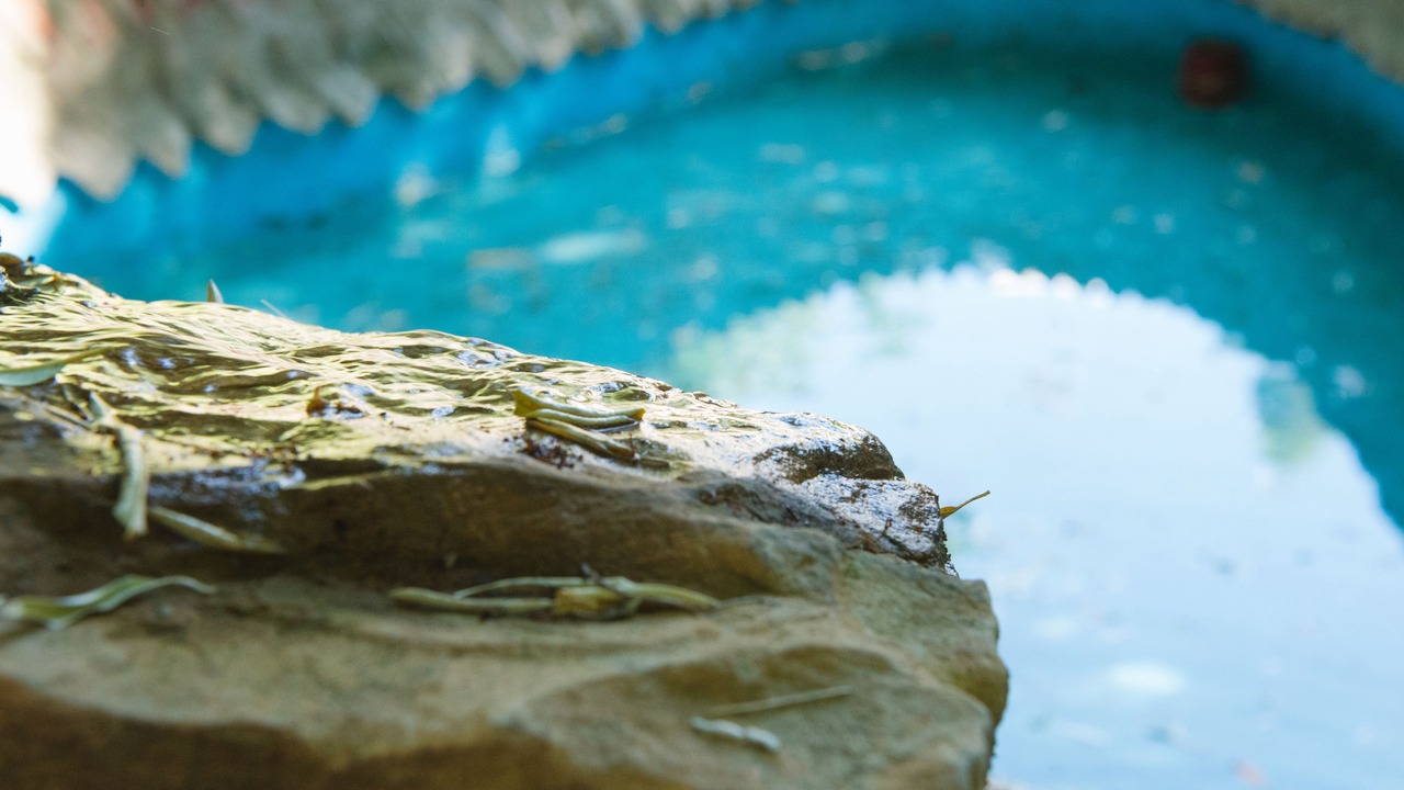 Photo of Outdoor in Sant Cugat del Valles