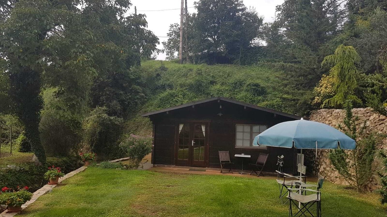 Photo of Outdoor in Avia
